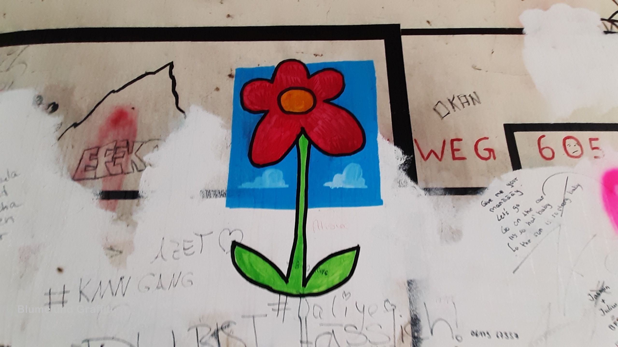 Eine Wandblume und Graffiti