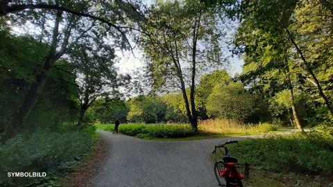 Wegscheide in einem Baumpark